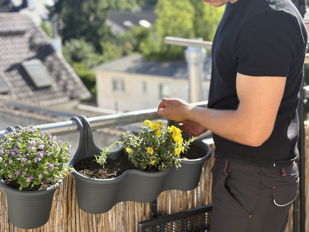 Blumen einpflanzen